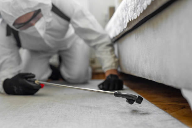 Professional Bed Bug Control technician working in Pretty Bayou, FL